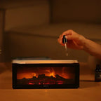 Fireplace Air Humidifier